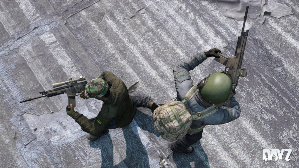 DayZ